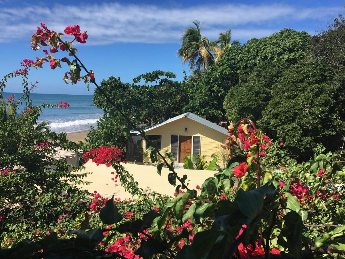 Katamah Beachfront Guesthouse Treasure Beach Exterior foto